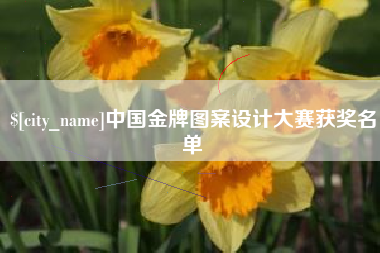 改则中国金牌图案设计大赛获奖名单