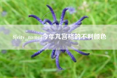 改则今年九宫格的不利颜色