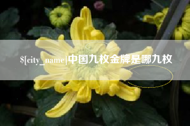 改则中国九枚金牌是哪九枚