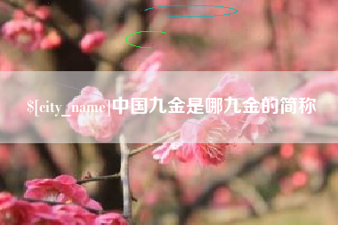 改则中国九金是哪九金的简称