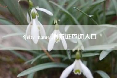 改则消防证查询入口
