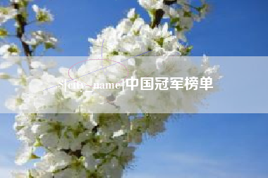 改则中国冠军榜单