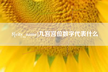 改则九宫宫位数字代表什么