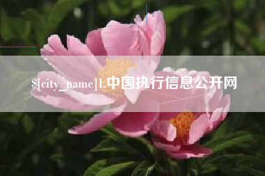 改则1.中国执行信息公开网