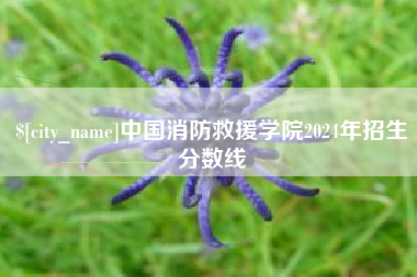改则中国消防救援学院2024年招生分数线