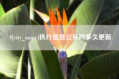 改则执行信息公开网多久更新