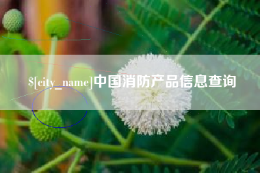 改则中国消防产品信息查询