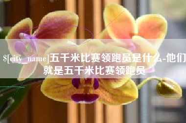 改则五千米比赛领跑员是什么-他们就是五千米比赛领跑员