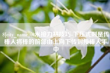 改则60米接力赛技巧-下压式则是传棒人将棒的前部由上向下传到接棒人手中