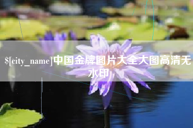 改则中国金牌图片大全大图高清无水印
