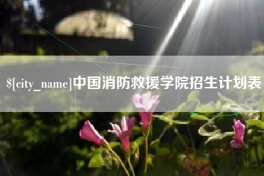 改则中国消防救援学院招生计划表