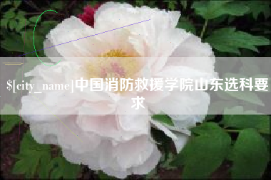 改则中国消防救援学院山东选科要求