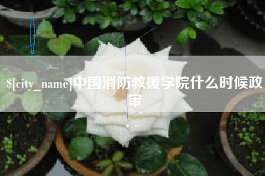 改则中国消防救援学院什么时候政审
