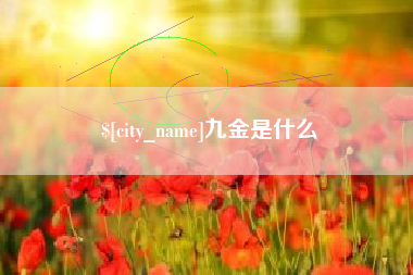 改则九金是什么