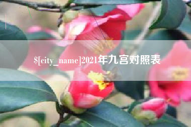 改则2021年九宫对照表