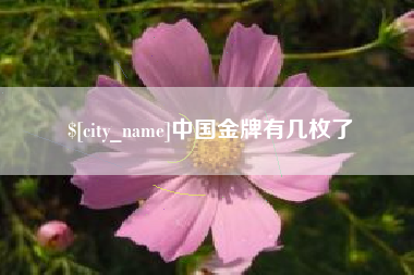 改则中国金牌有几枚了