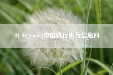 改则中国执行执行信息网