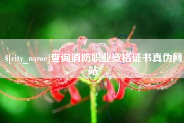 改则查询消防职业资格证书真伪网站