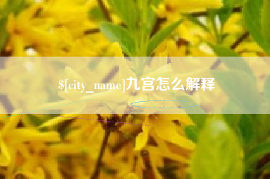 改则九宫怎么解释