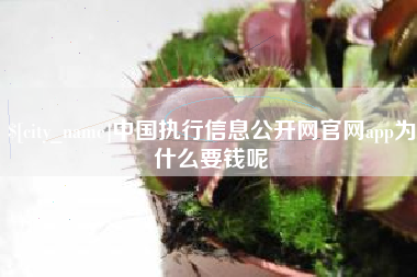 改则中国执行信息公开网官网app为什么要钱呢