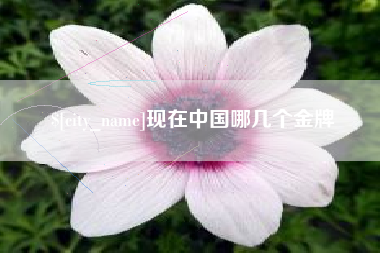 改则现在中国哪几个金牌