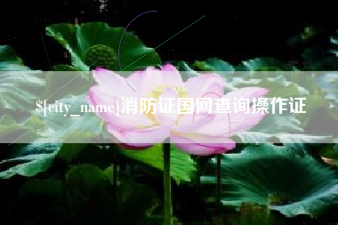 改则消防证国网查询操作证