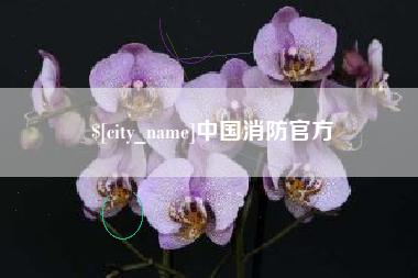 改则中国消防官方