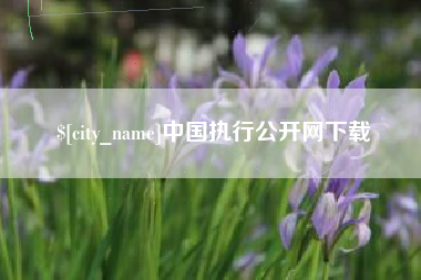 改则中国执行公开网下载
