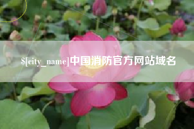 改则中国消防官方网站域名