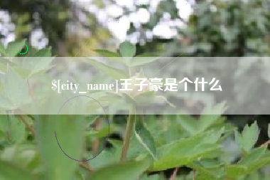 改则王子豪是个什么