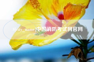 改则中国消防考试网官网