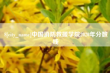 改则中国消防救援学院2020年分数线