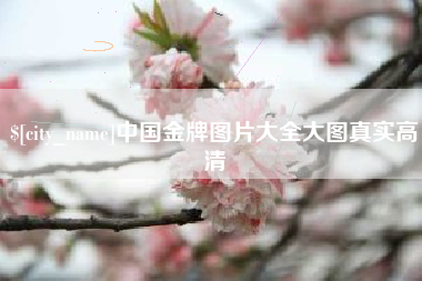 改则中国金牌图片大全大图真实高清