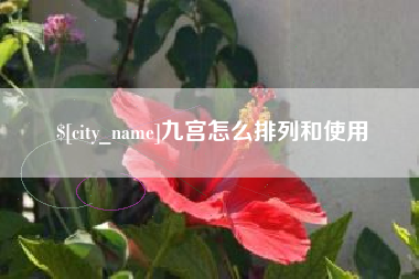 改则九宫怎么排列和使用