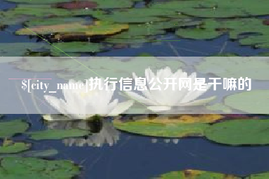 改则执行信息公开网是干嘛的