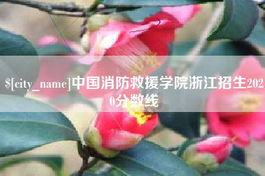 改则中国消防救援学院浙江招生2020分数线