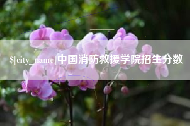 改则中国消防救援学院招生分数