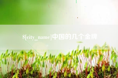 改则中国的几个金牌