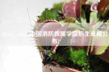 改则中国消防救援学院招生章程公布!