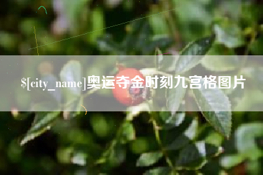 改则奥运夺金时刻九宫格图片