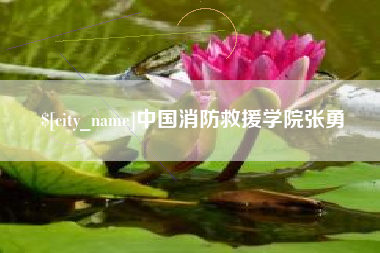 改则中国消防救援学院张勇