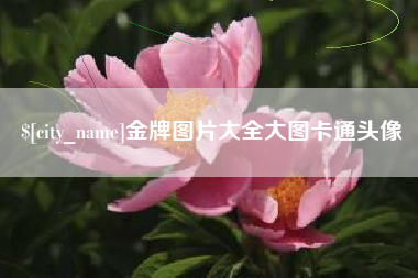 改则金牌图片大全大图卡通头像