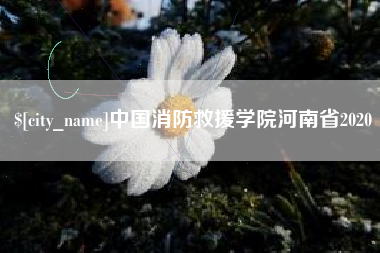 改则中国消防救援学院河南省2020